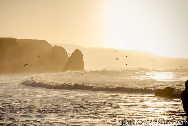 Freshwater Bay (© Jason Swain)