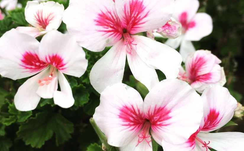 Things I’d Tell My&nbsp;Daughter