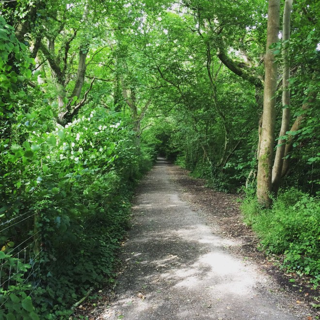 The final straight - almost too much for me, today