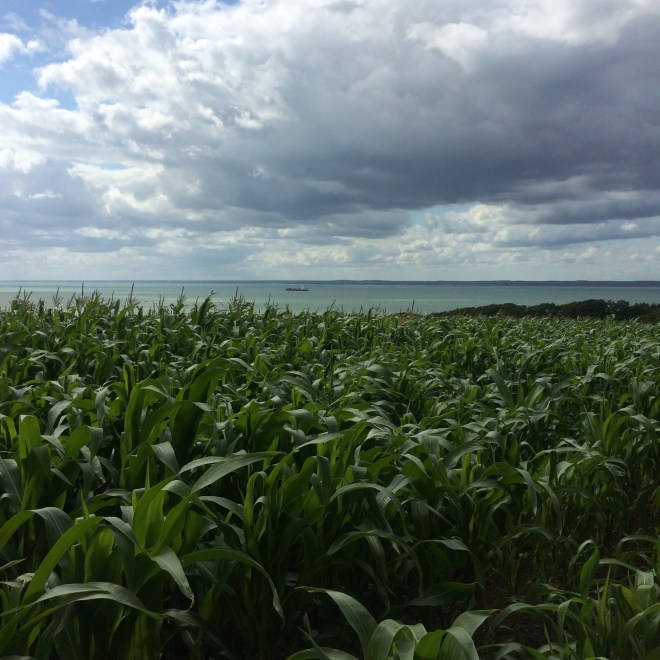 Not that bad for a diversion - view over Thorness Bay