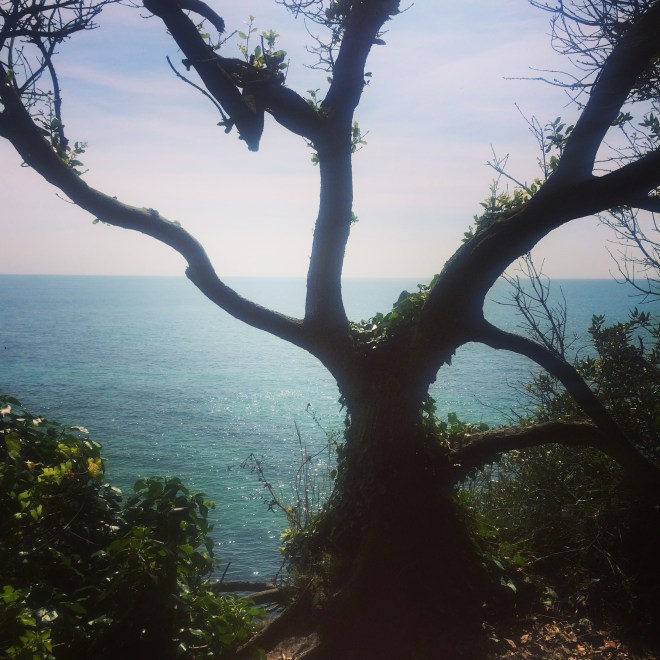View from the coastal path, Ventnor