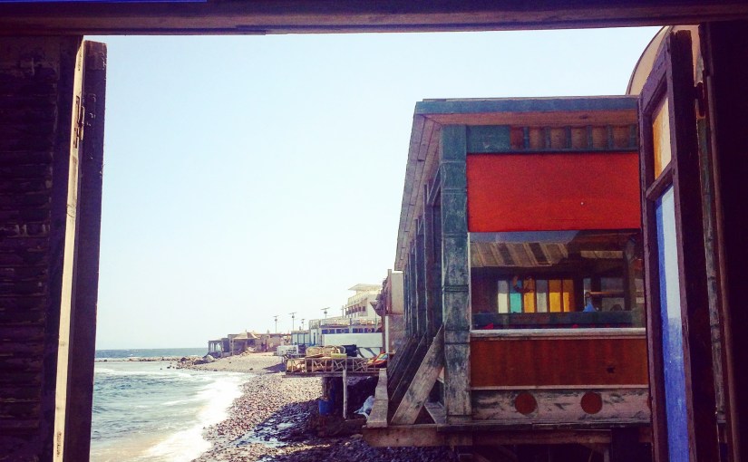 What Can You&nbsp;Do?