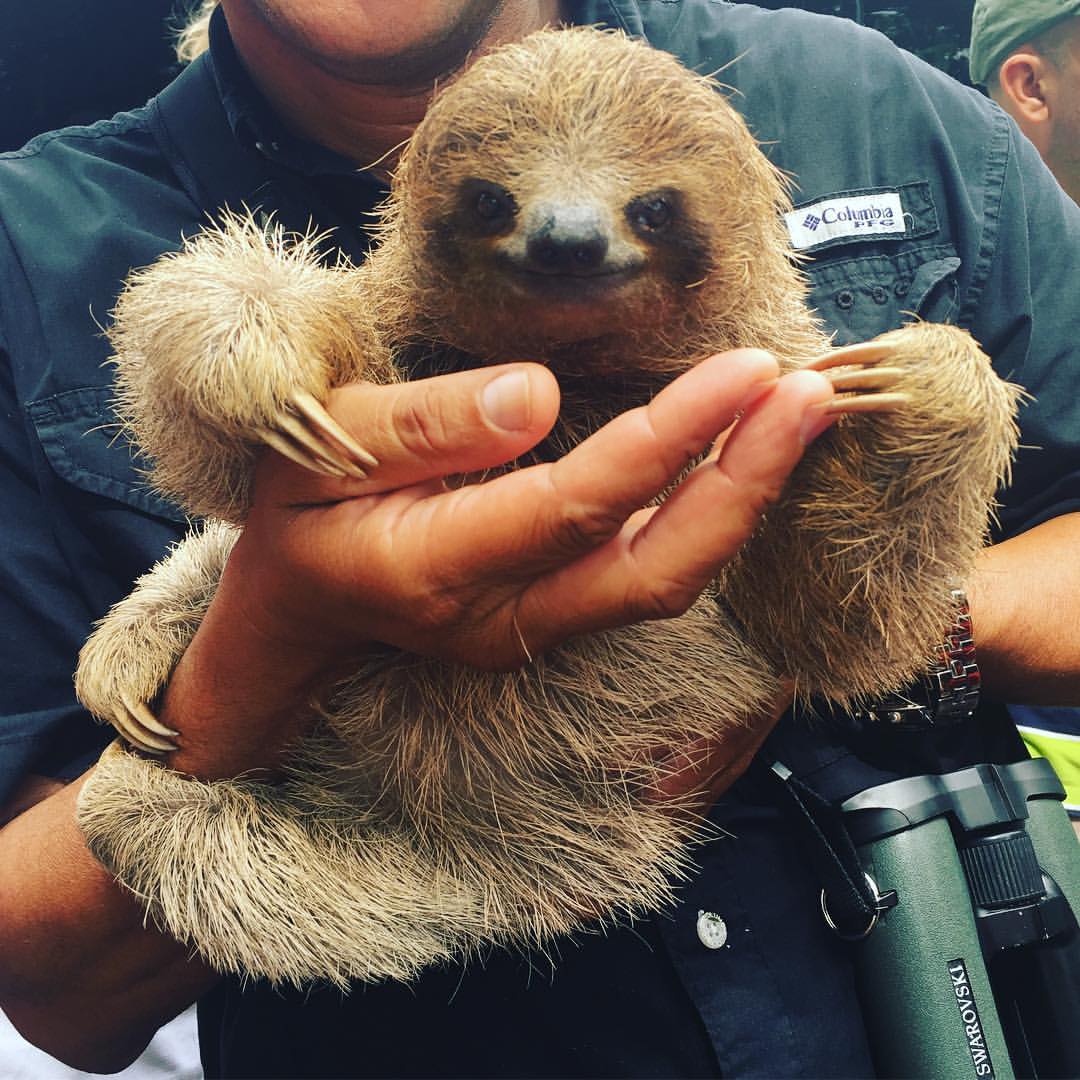 13735679_1381216841893750_5365012855514581366_o