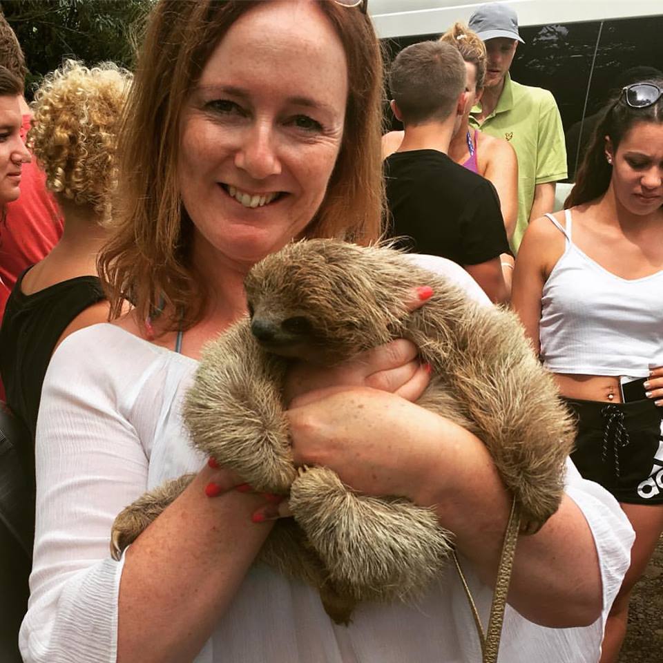 13891790_1381212251894209_8102175278859950150_n